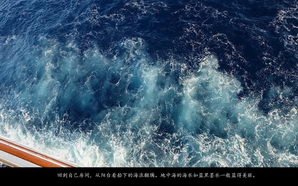 medsea069