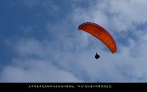 medsea273