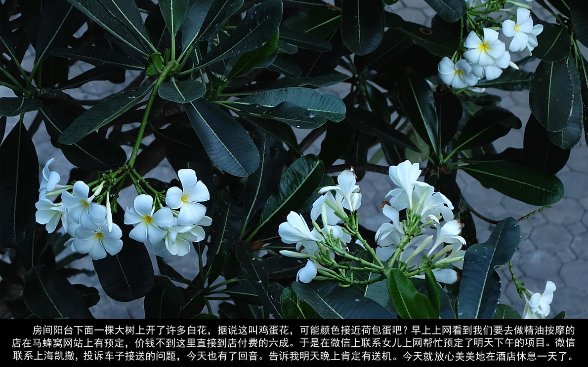 普吉岛自由行（054）
