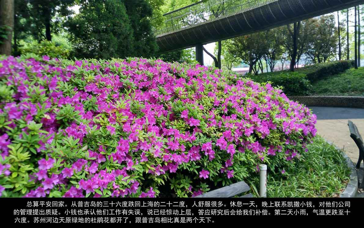 普吉岛自由行（087）