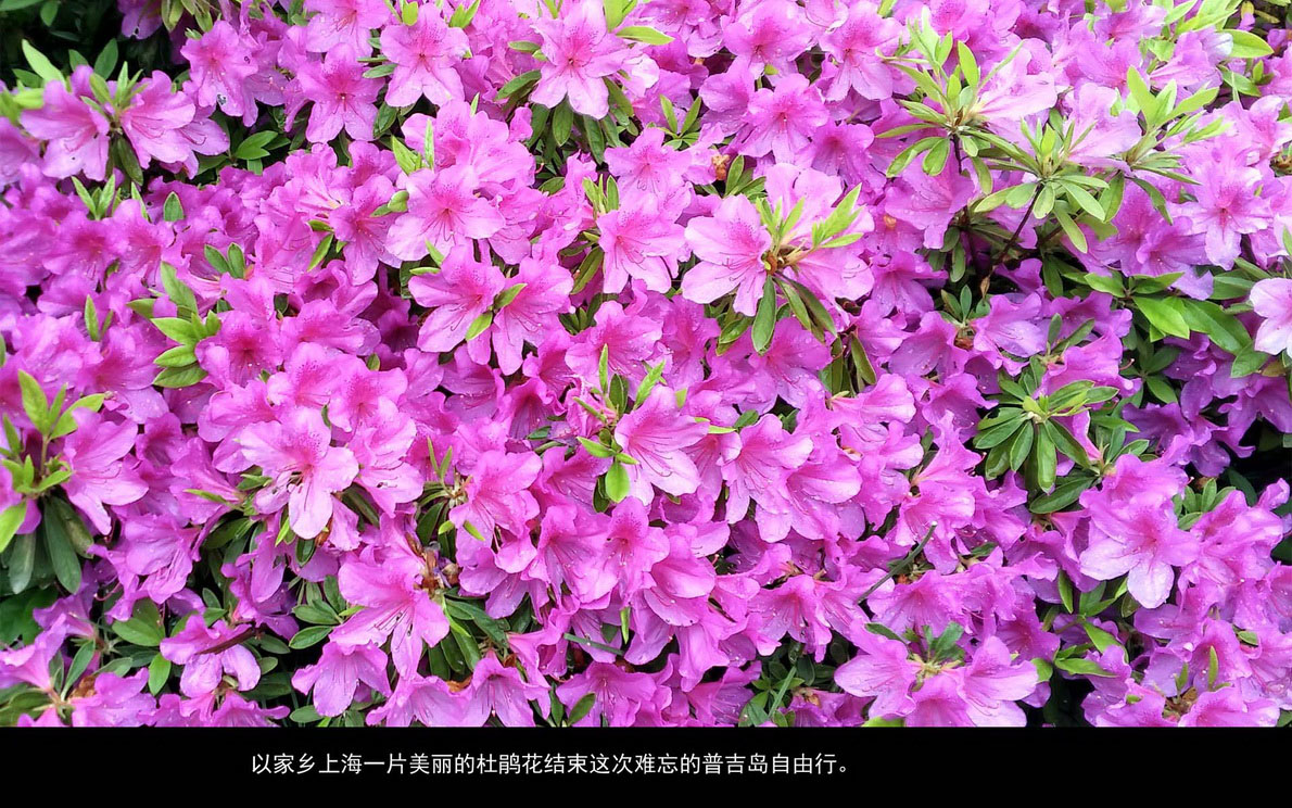 普吉岛自由行（088）