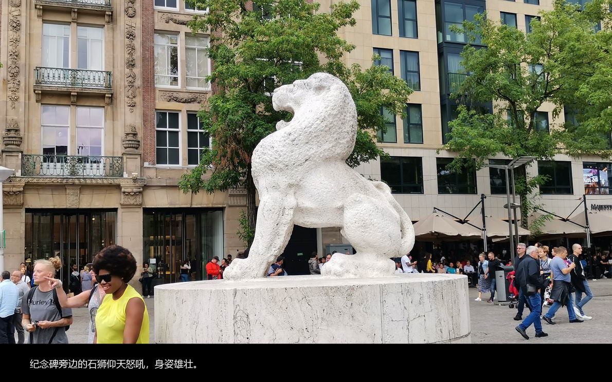 欧洲内河行（660）